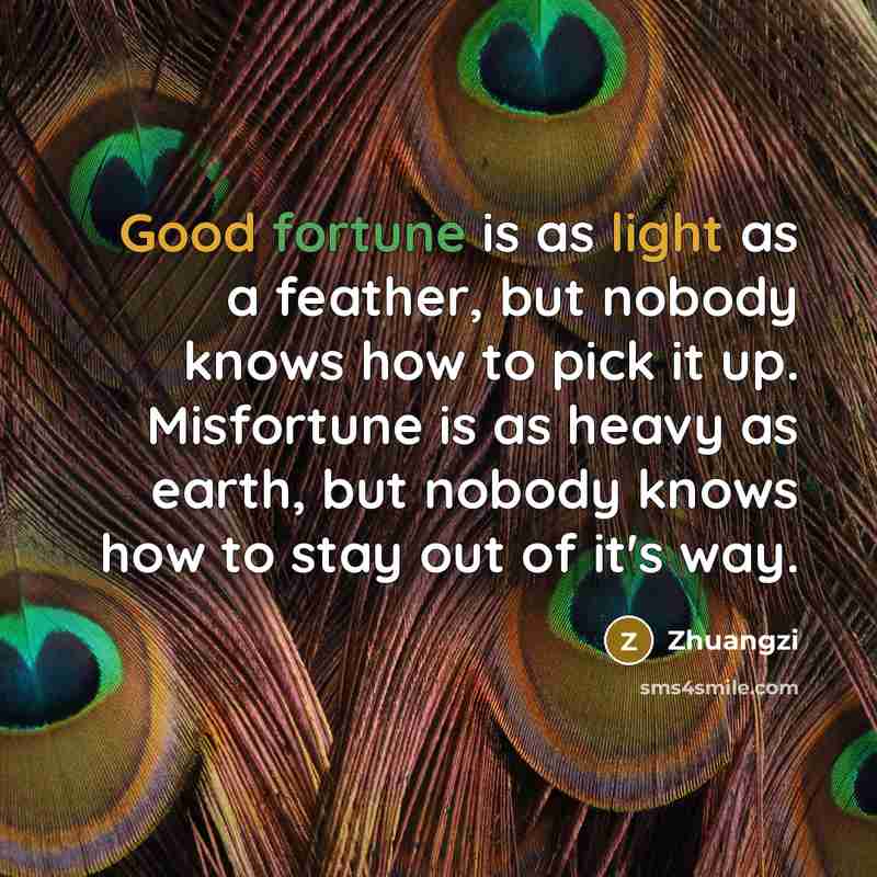 “Good fortune is as light as a feather, but nobody knows how to pick it up. Misfortune is as heavy as earth, but nobody knows how to stay out of it's way.” quote by Zhuangzi