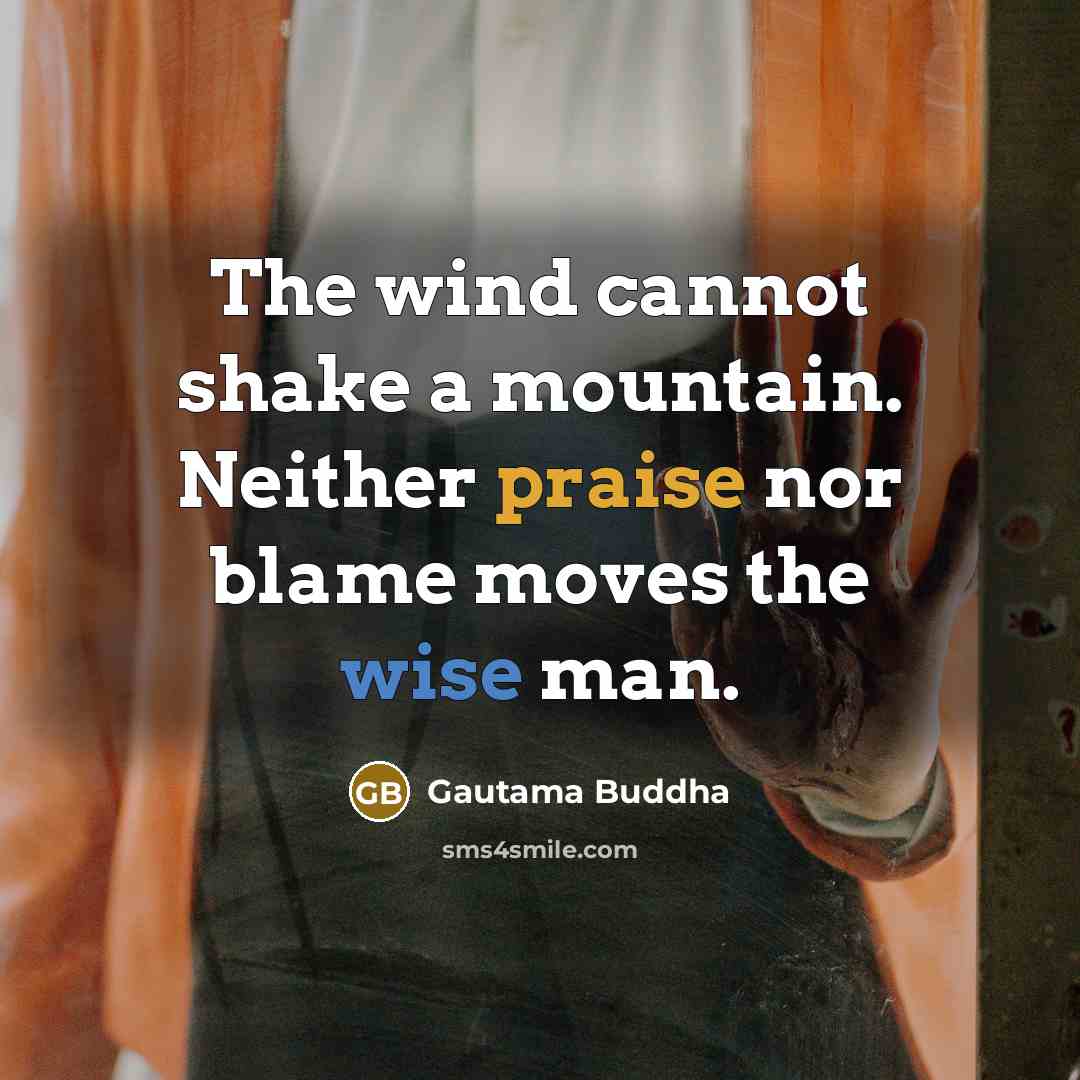 “The wind cannot shake a mountain. Neither praise nor blame moves the wise man.” quote by Gautama Buddha