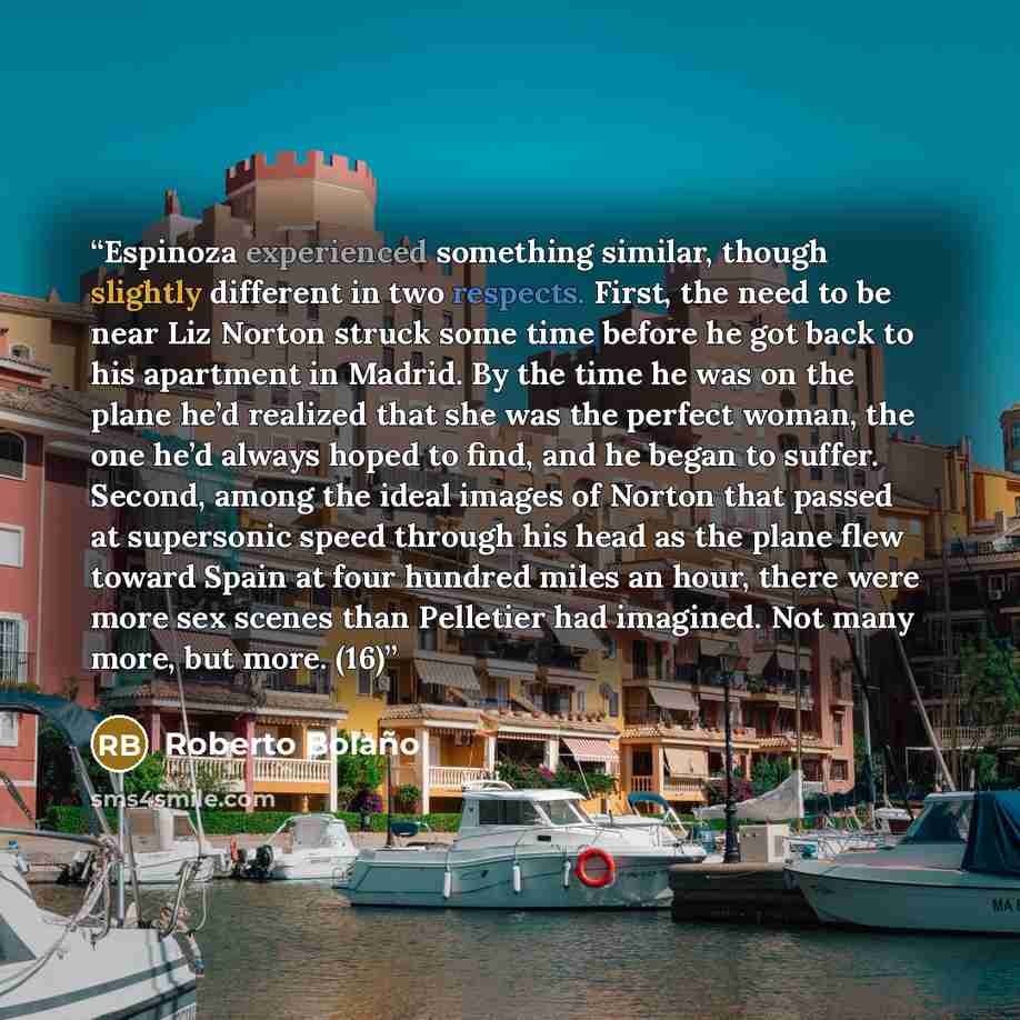 “Espinoza experienced something similar, though slightly different in two respects. First, the need to be near Liz Norton struck some time before he got back to his apartment in Madrid. By the time he was on the plane he’d realized that she was the perfect woman, the one he’d always hoped to find…” quote by Roberto Bolaño