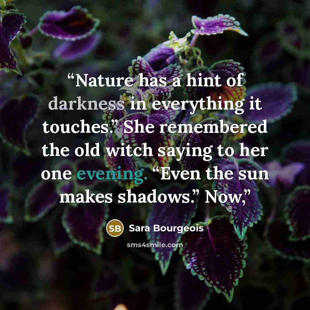 “Nature has a hint of darkness in everything it touches.” She remembered the old witch saying to her one evening. “Even the sun makes shadows.” Now,” quote by Sara Bourgeois