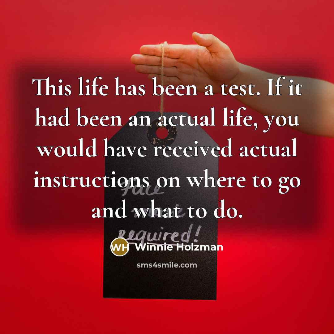 “This life has been a test. If it had been an actual life, you would have received actual instructions on where to go and what to do.” quote by Winnie Holzman