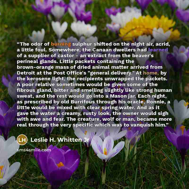 “The odor of burning sulphur shifted on the night air, acrid, a little foul. Somewhere, the Canaan dwellers had learned of a supplier of castor - an extract from the beaver's perineal glands. Little packets containing the brown-orange mass of dried animal matter arrived from Detroit at the Post…” quote by Leslie H. Whitten Jr