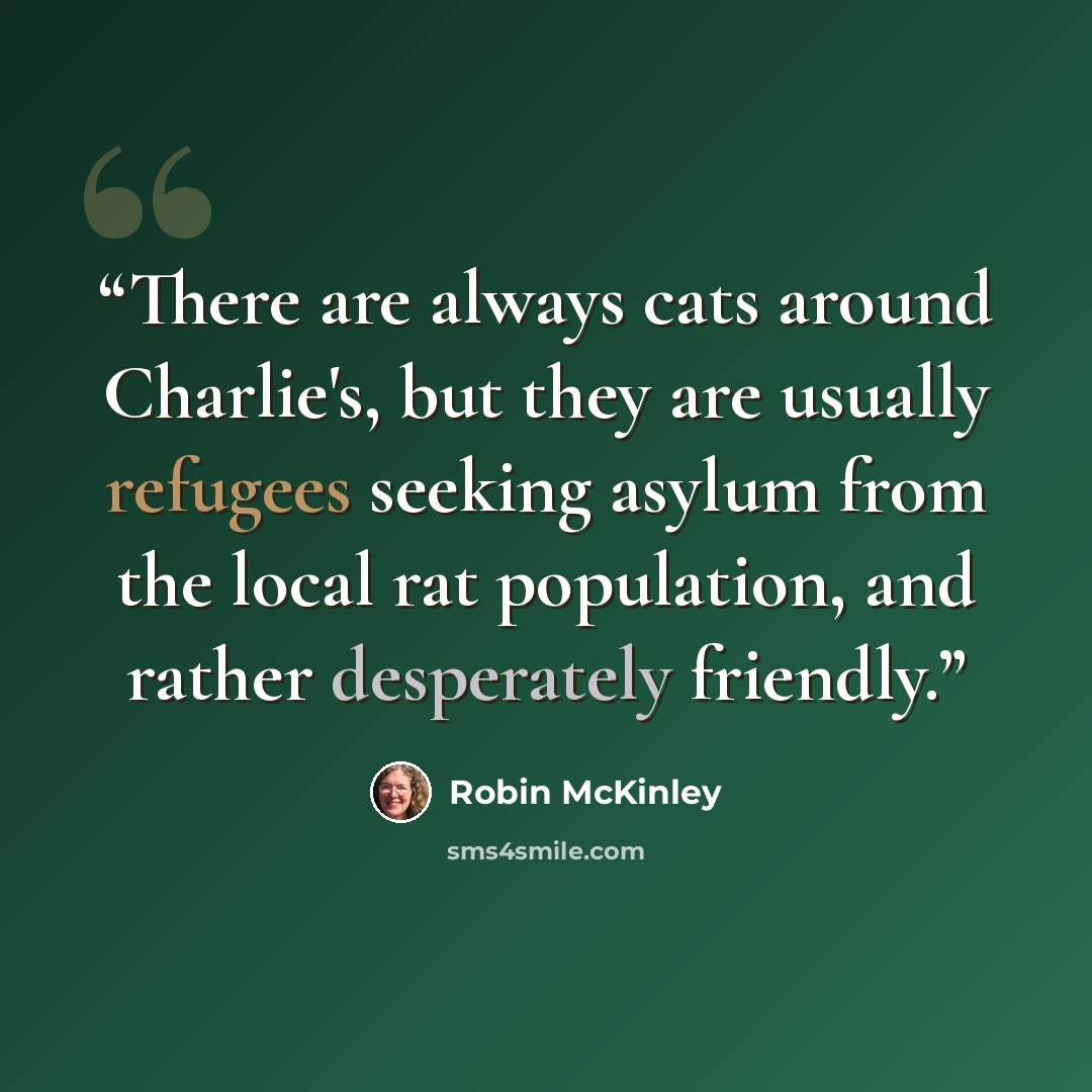 “There are always cats around Charlie's, but they are usually refugees seeking asylum from the local rat population, and rather desperately friendly.” quote by Robin McKinley