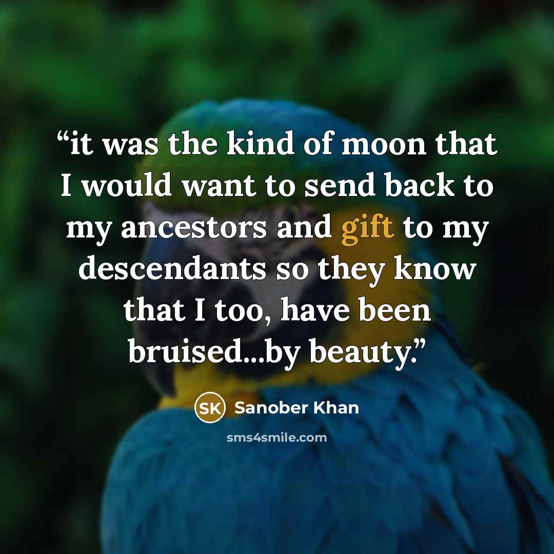 “it was the kind of moon that I would want to send back to my ancestors and gift to my descendants so they know that I too, have been bruised...by beauty.” quote by Sanober Khan