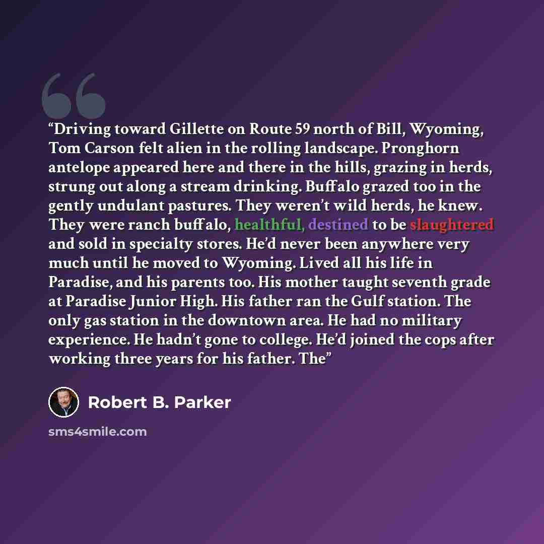 “Driving toward Gillette on Route 59 north of Bill, Wyoming, Tom Carson felt alien in the rolling landscape. Pronghorn antelope appeared here and there in the hills, grazing in herds, strung out along a stream drinking. Buffalo grazed too in the gently undulant pastures. They weren’t wild herds, he…” quote by Robert B. Parker