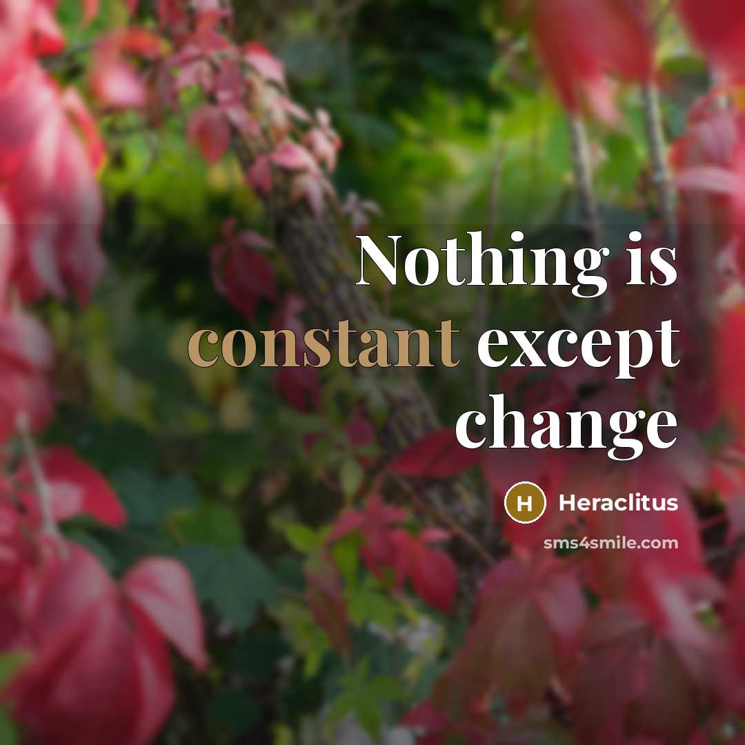 “Nothing is constant except change” quote by Heraclitus