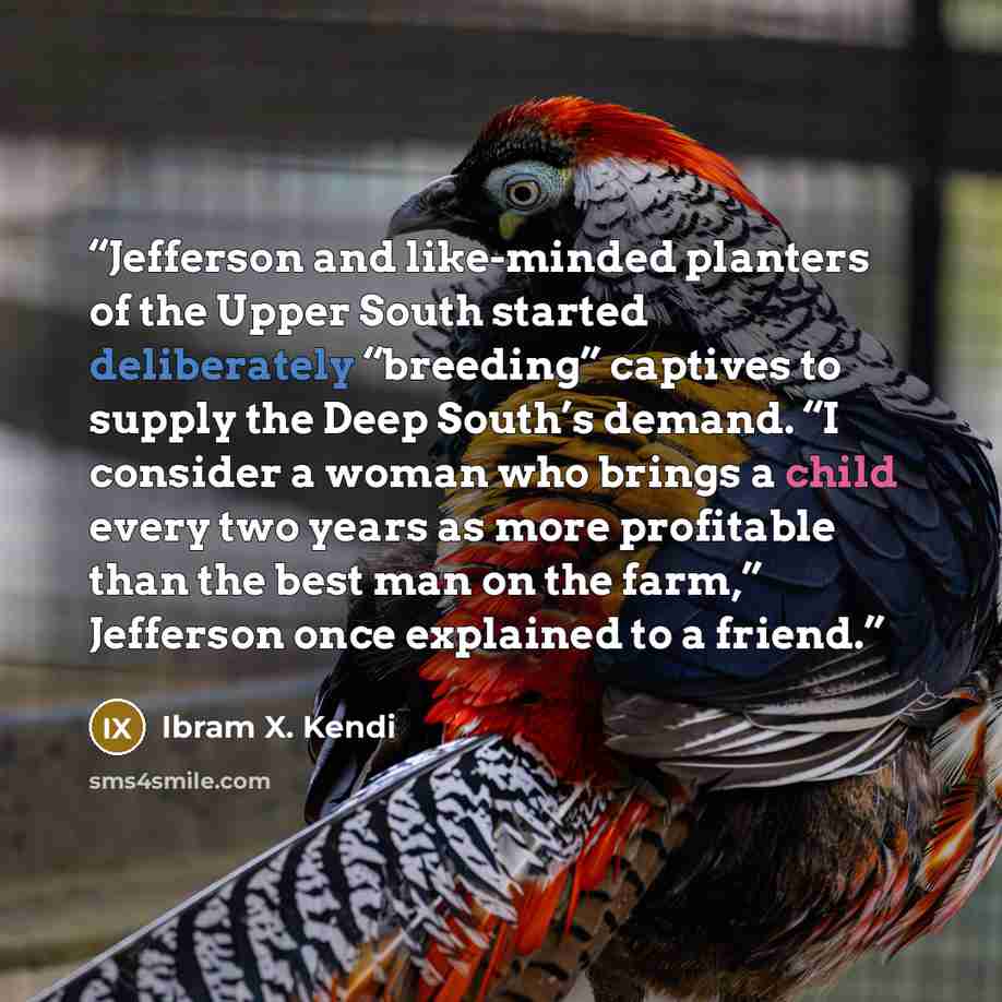“Jefferson and like-minded planters of the Upper South started deliberately “breeding” captives to supply the Deep South’s demand. “I consider a woman who brings a child every two years as more profitable than the best man on the farm,” Jefferson once explained to a friend.” quote by Ibram X. Kendi