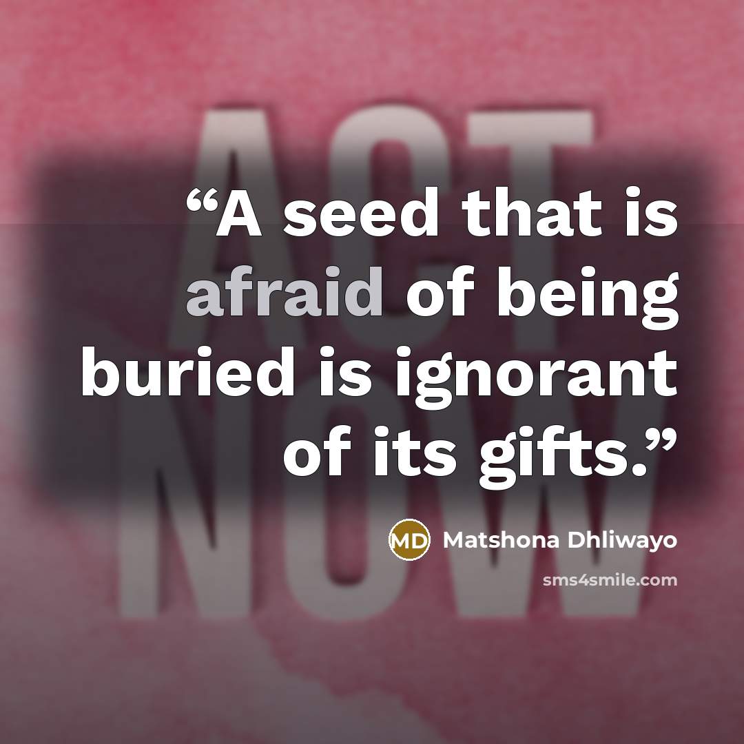 “A seed that is afraid of being buried is ignorant of its gifts.” quote by Matshona Dhliwayo
