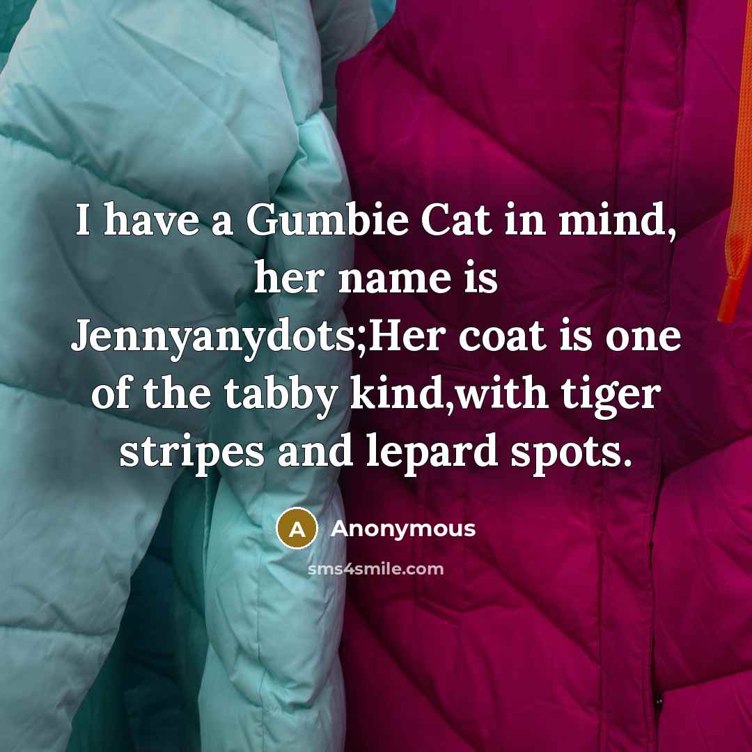 “I have a Gumbie Cat in mind, her name is Jennyanydots;Her coat is one of the tabby kind,with tiger stripes and lepard spots.” quote by Anonymous
