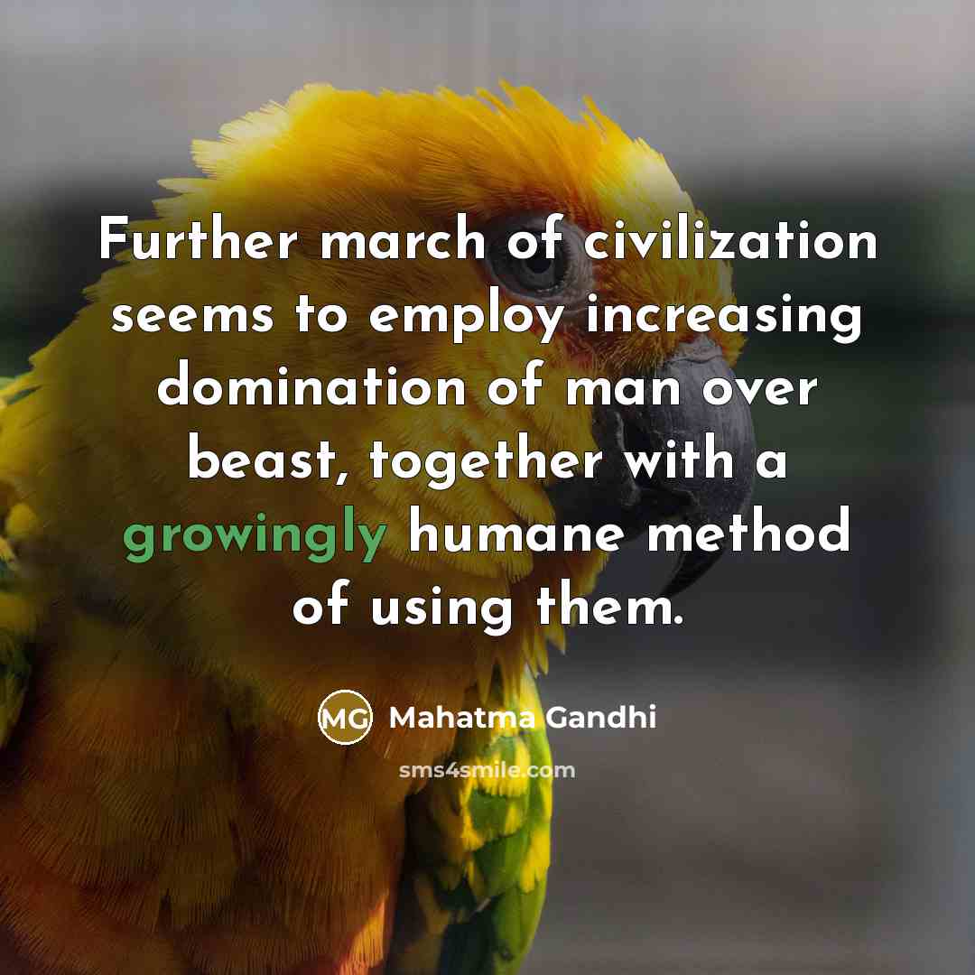 “Further march of civilization seems to employ increasing domination of man over beast, together with a growingly humane method of using them.” quote by Mahatma Gandhi