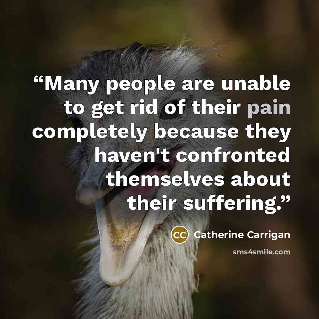 “Many people are unable to get rid of their pain completely because they haven't confronted themselves about their suffering.” quote by Catherine Carrigan