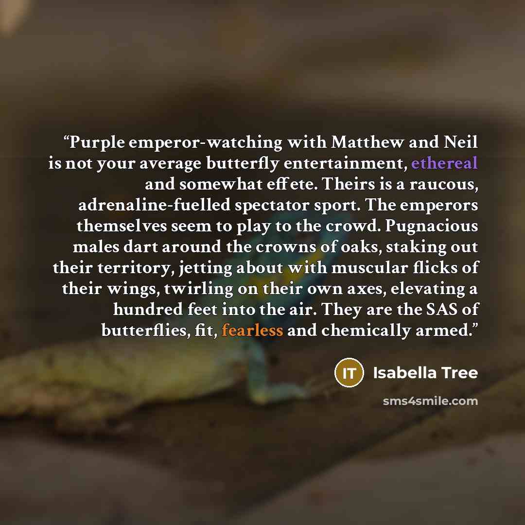 “Purple emperor-watching with Matthew and Neil is not your average butterfly entertainment, ethereal and somewhat effete. Theirs is a raucous, adrenaline-fuelled spectator sport. The emperors themselves seem to play to the crowd. Pugnacious males dart around the crowns of oaks, staking out their…” quote by Isabella Tree