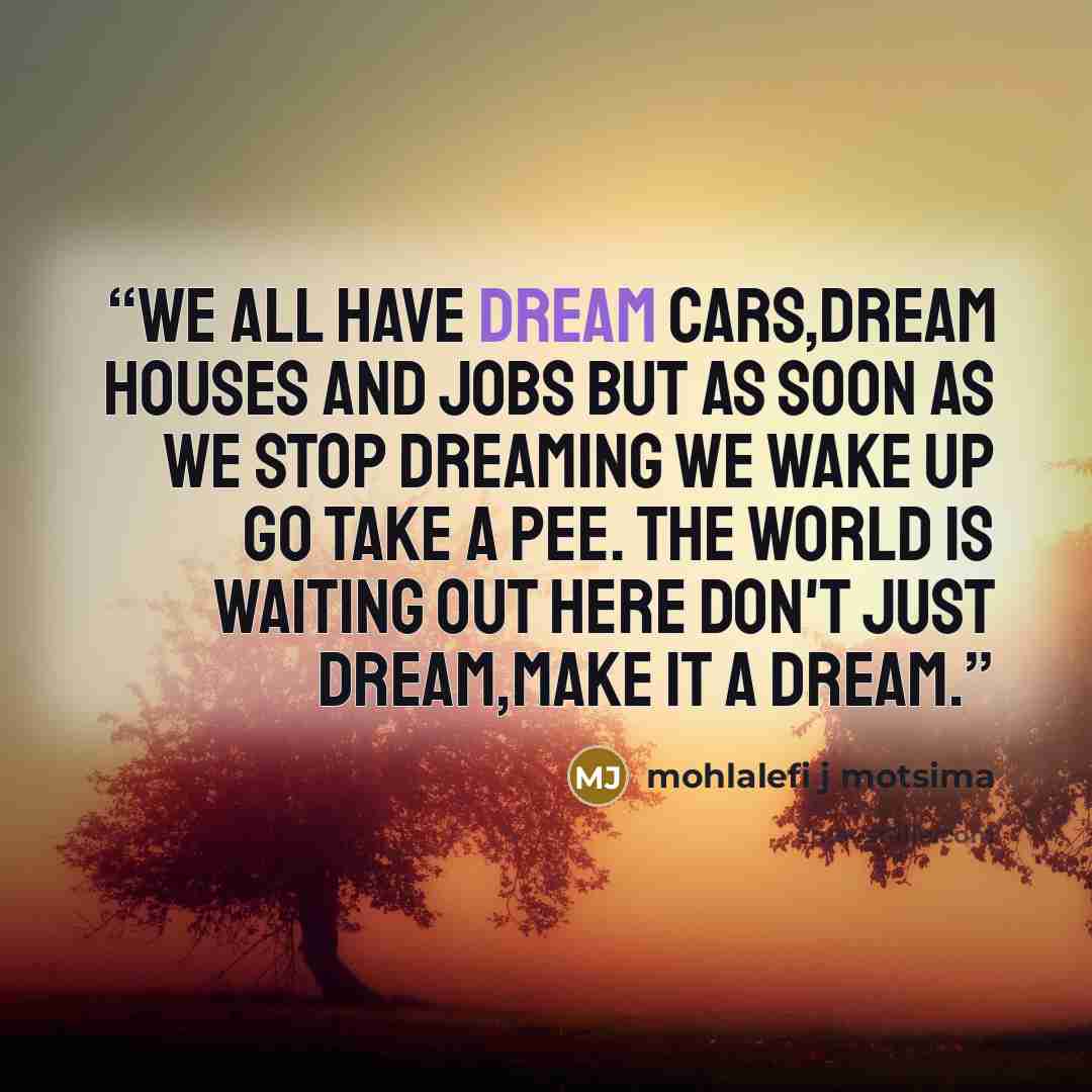 “we all have dream cars,dream houses and jobs but as soon as we stop dreaming we wake up go take a pee. the world is waiting out here don't just dream,make it a dream.” quote by mohlalefi j motsima