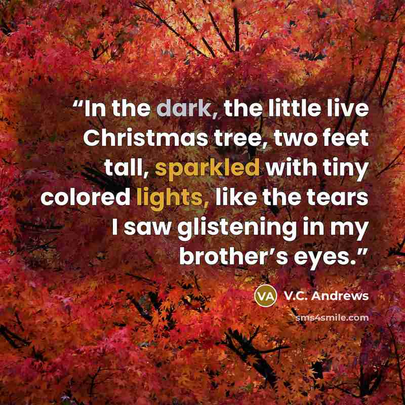 “In the dark, the little live Christmas tree, two feet tall, sparkled with tiny colored lights, like the tears I saw glistening in my brother’s eyes.” quote by V.C. Andrews