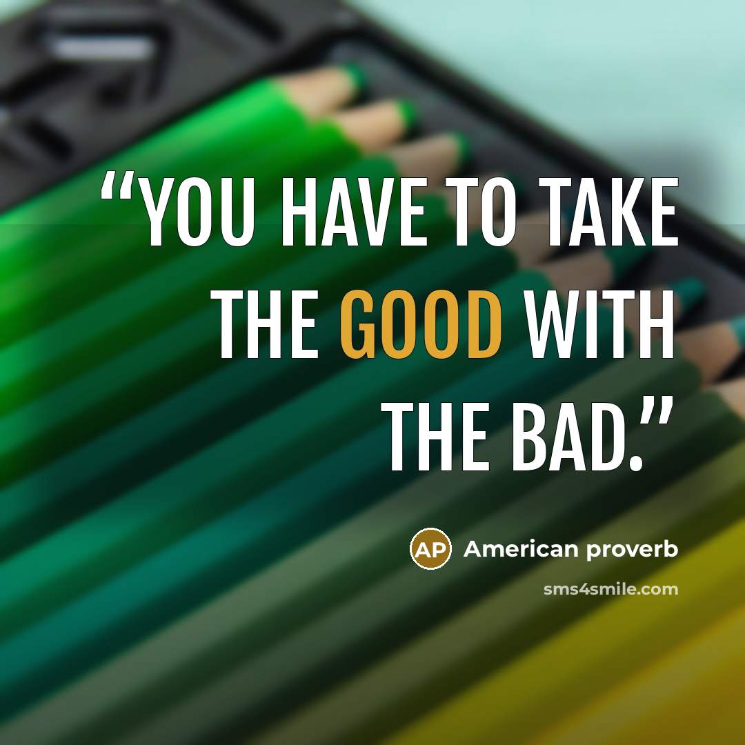 “You have to take the good with the bad.” quote by American proverb