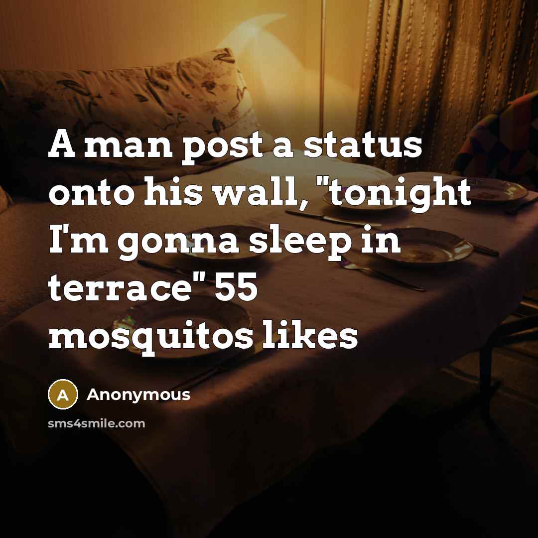 “A man post a status onto his wall, ''tonight I'm gonna sleep in terrace'' 55 mosquitos likes” quote by Anonymous