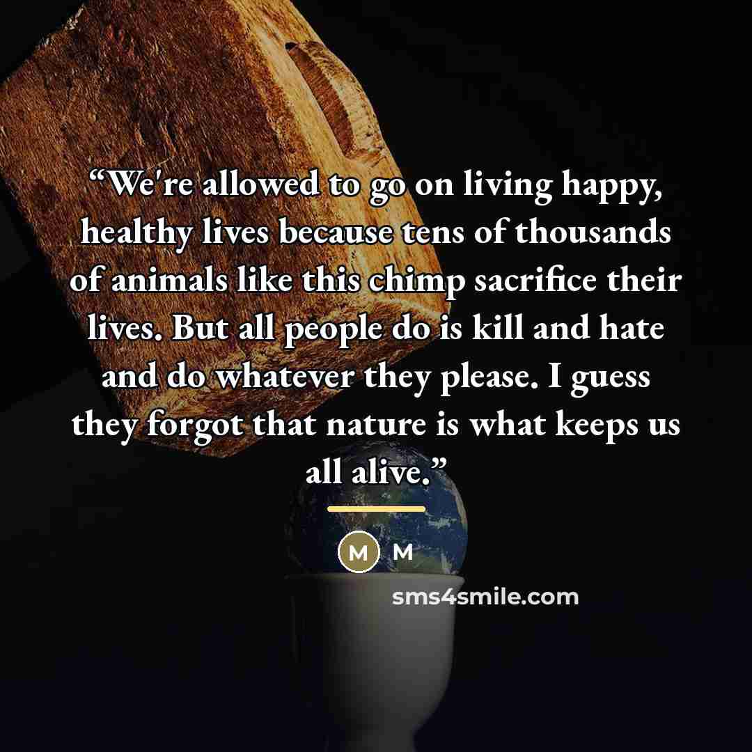 “We're allowed to go on living happy, healthy lives because tens of thousands of animals like this chimp sacrifice their lives. But all people do is kill and hate and do whatever they please. I guess they forgot that nature is what keeps us all alive.” quote by M