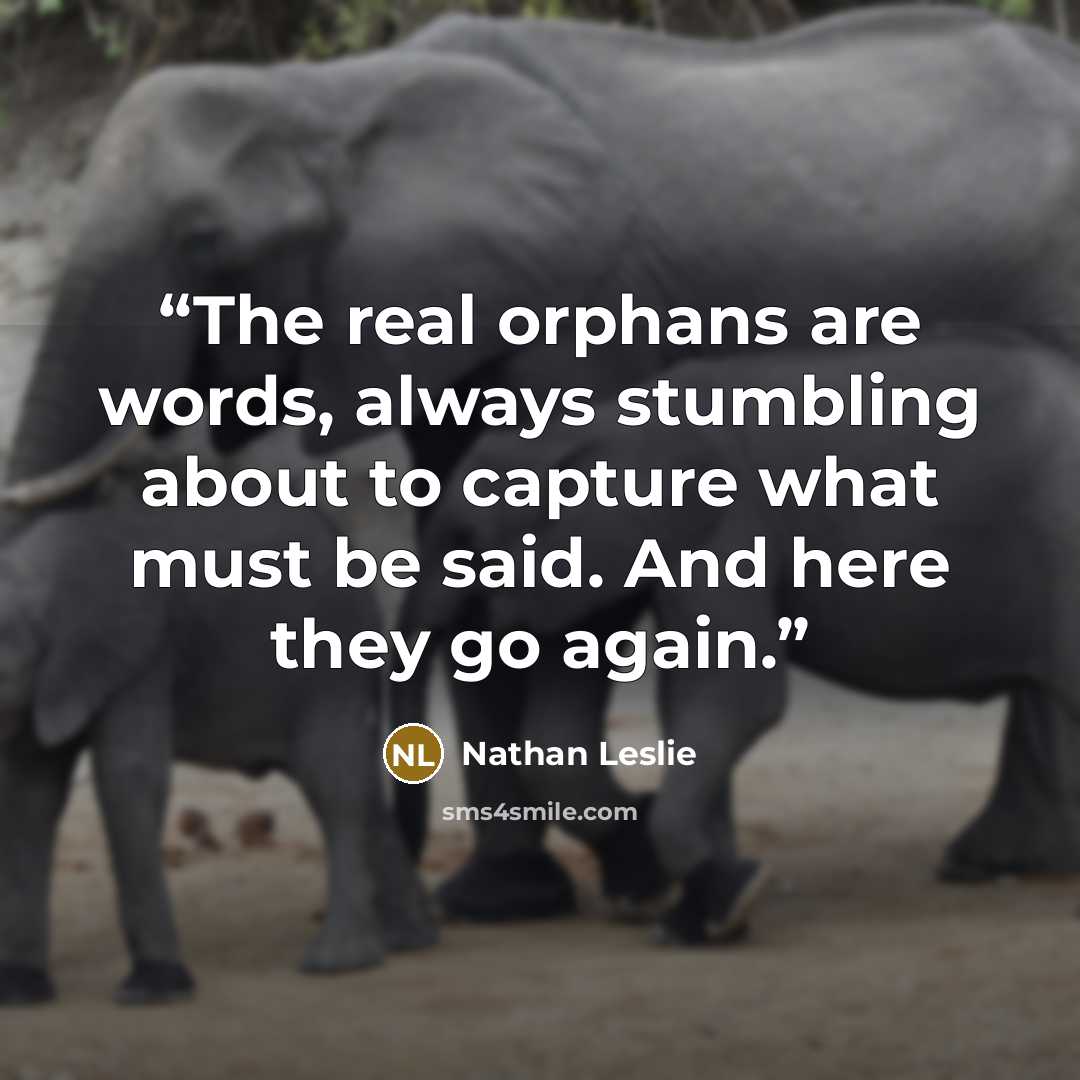 “The real orphans are words, always stumbling about to capture what must be said. And here they go again.” quote by Nathan Leslie