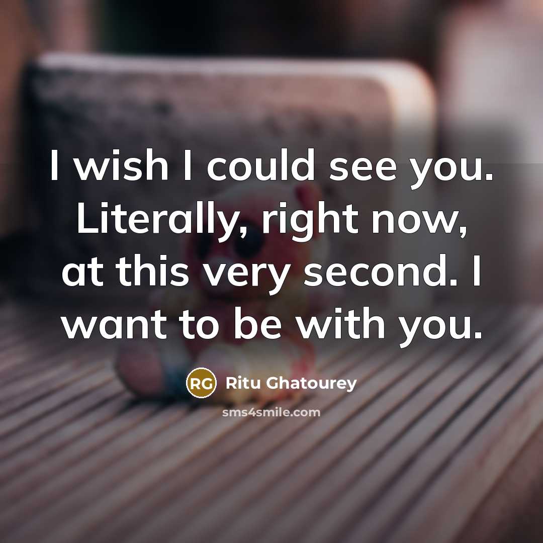 “I wish I could see you. Literally, right now, at this very second. I want to be with you.” quote by Ritu Ghatourey