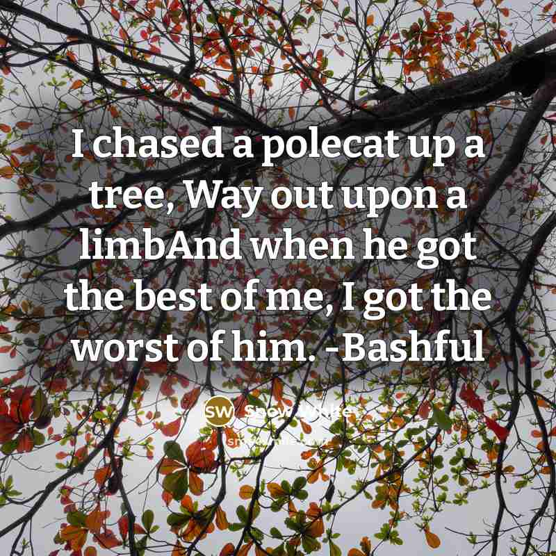 “I chased a polecat up a tree, Way out upon a limbAnd when he got the best of me, I got the worst of him. -Bashful” quote by Snow White