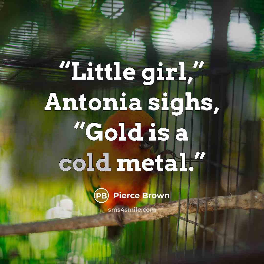 “Little girl,” Antonia sighs, “Gold is a cold metal.” quote by Pierce Brown