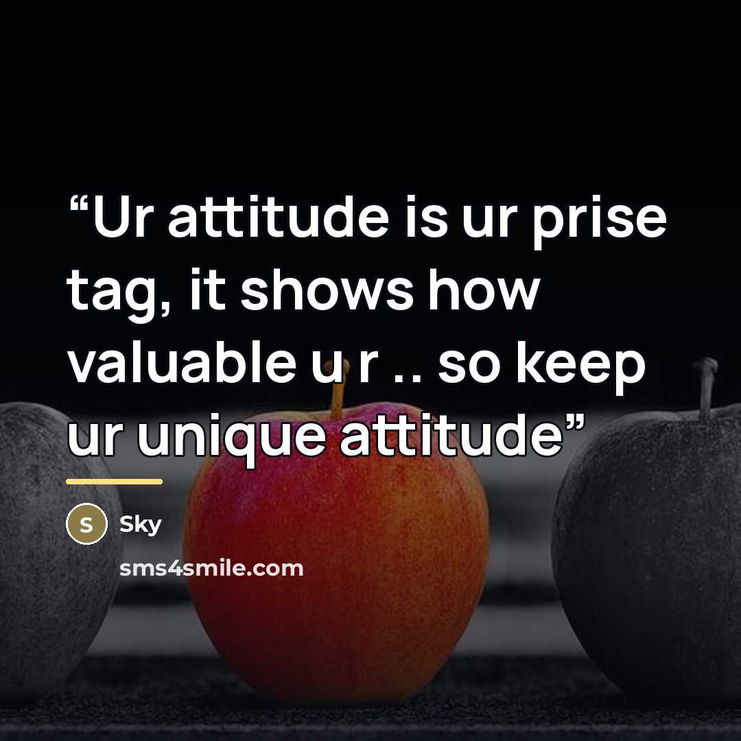 “Ur attitude is ur prise tag, it shows how valuable u r .. so keep ur unique attitude” quote by Sky