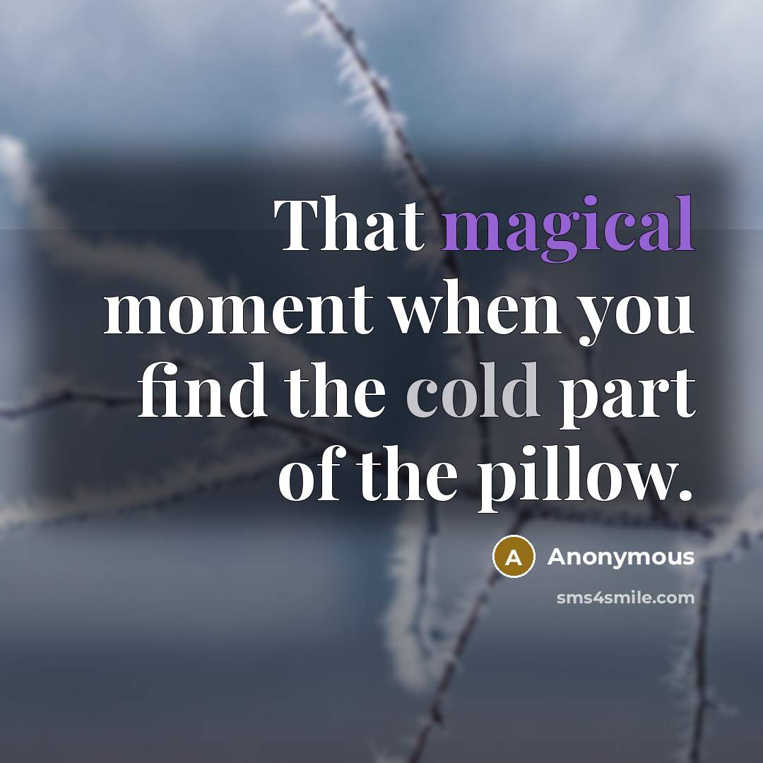 “That magical moment when you find the cold part of the pillow.” quote by Anonymous
