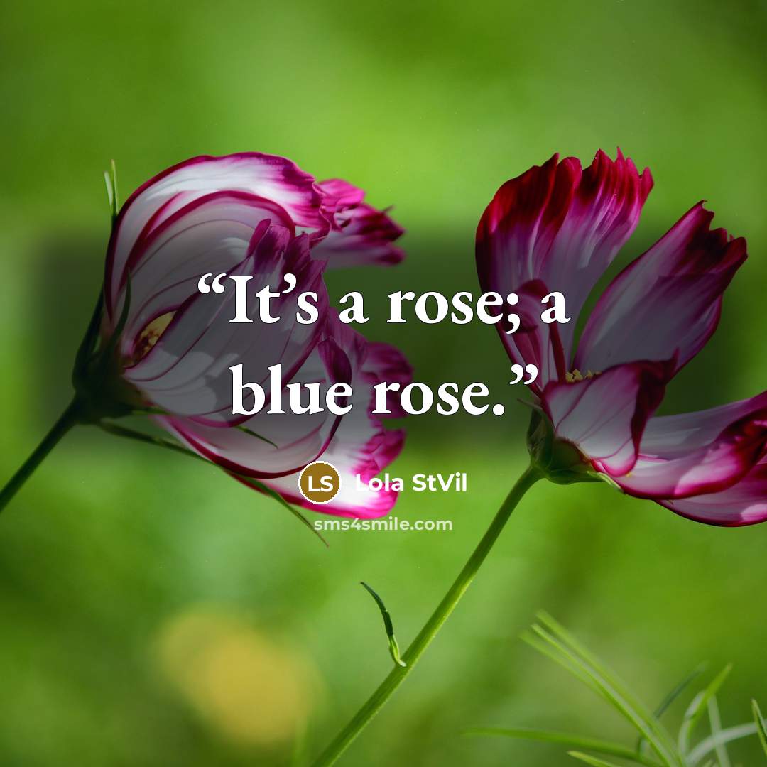 “It’s a rose; a blue rose.” quote by Lola StVil