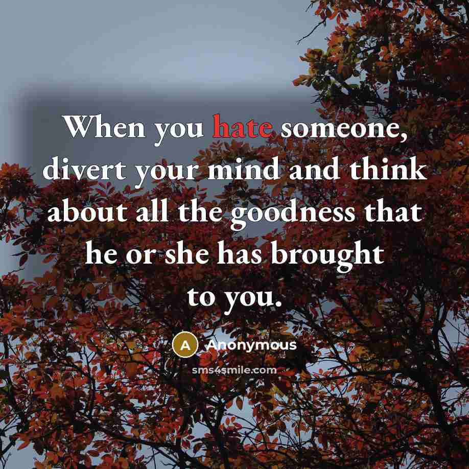 “When you hate someone, divert your mind and think about all the goodness that he or she has brought to you.” quote by Anonymous