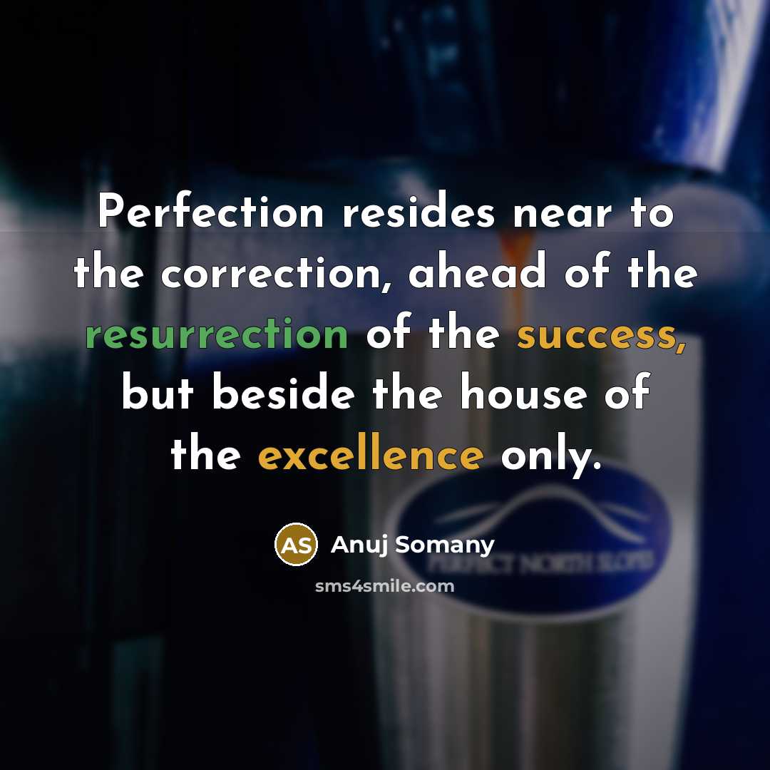 “Perfection resides near to the correction, ahead of the resurrection of the success, but beside the house of the excellence only.” quote by Anuj Somany