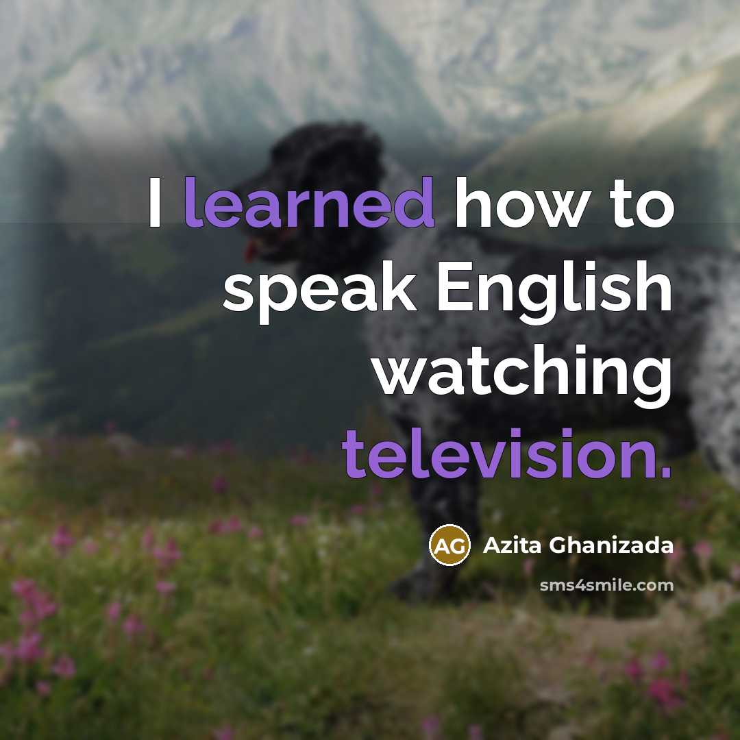 “I learned how to speak English watching television.” quote by Azita Ghanizada