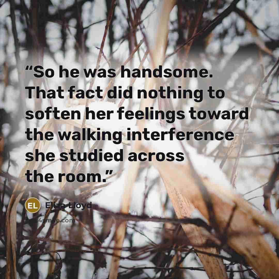 “So he was handsome. That fact did nothing to soften her feelings toward the walking interference she studied across the room.” quote by Eliza Lloyd
