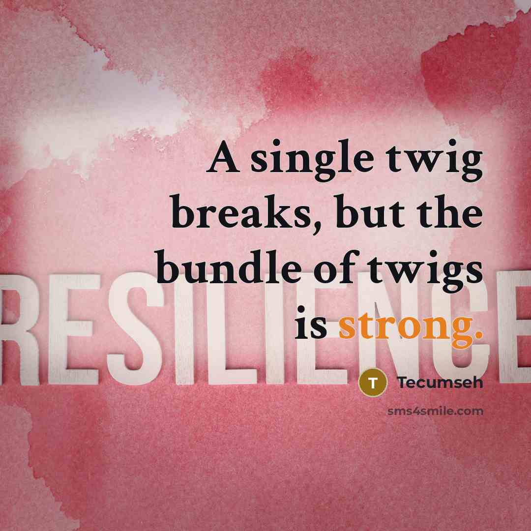 “A single twig breaks, but the bundle of twigs is strong.” quote by Tecumseh