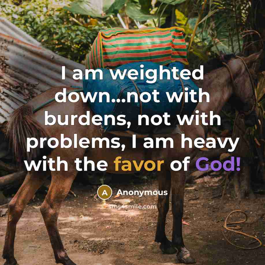 “I am weighted down...not with burdens, not with problems, I am heavy with the favor of God!” quote by Anonymous