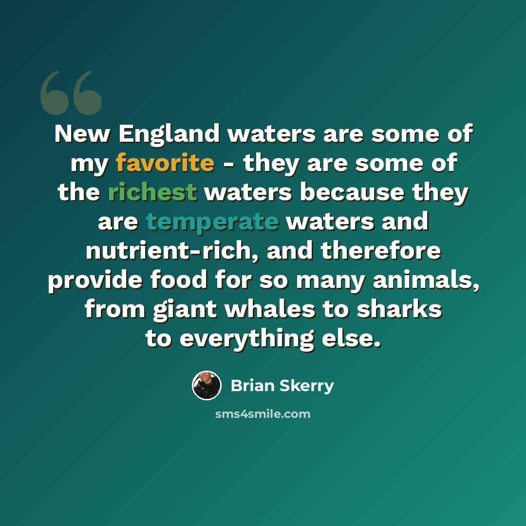 “New England waters are some of my favorite - they are some of the richest waters because they are temperate waters and nutrient-rich, and therefore provide food for so many animals, from giant whales to sharks to everything else.” quote by Brian Skerry
