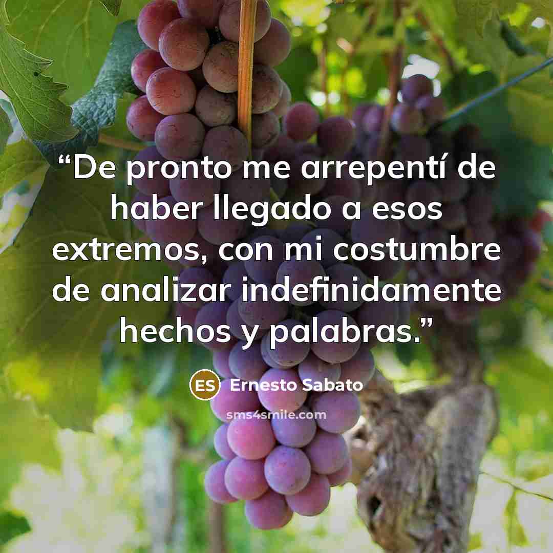 “De pronto me arrepentí de haber llegado a esos extremos, con mi costumbre de analizar indefinidamente hechos y palabras.” quote by Ernesto Sábato