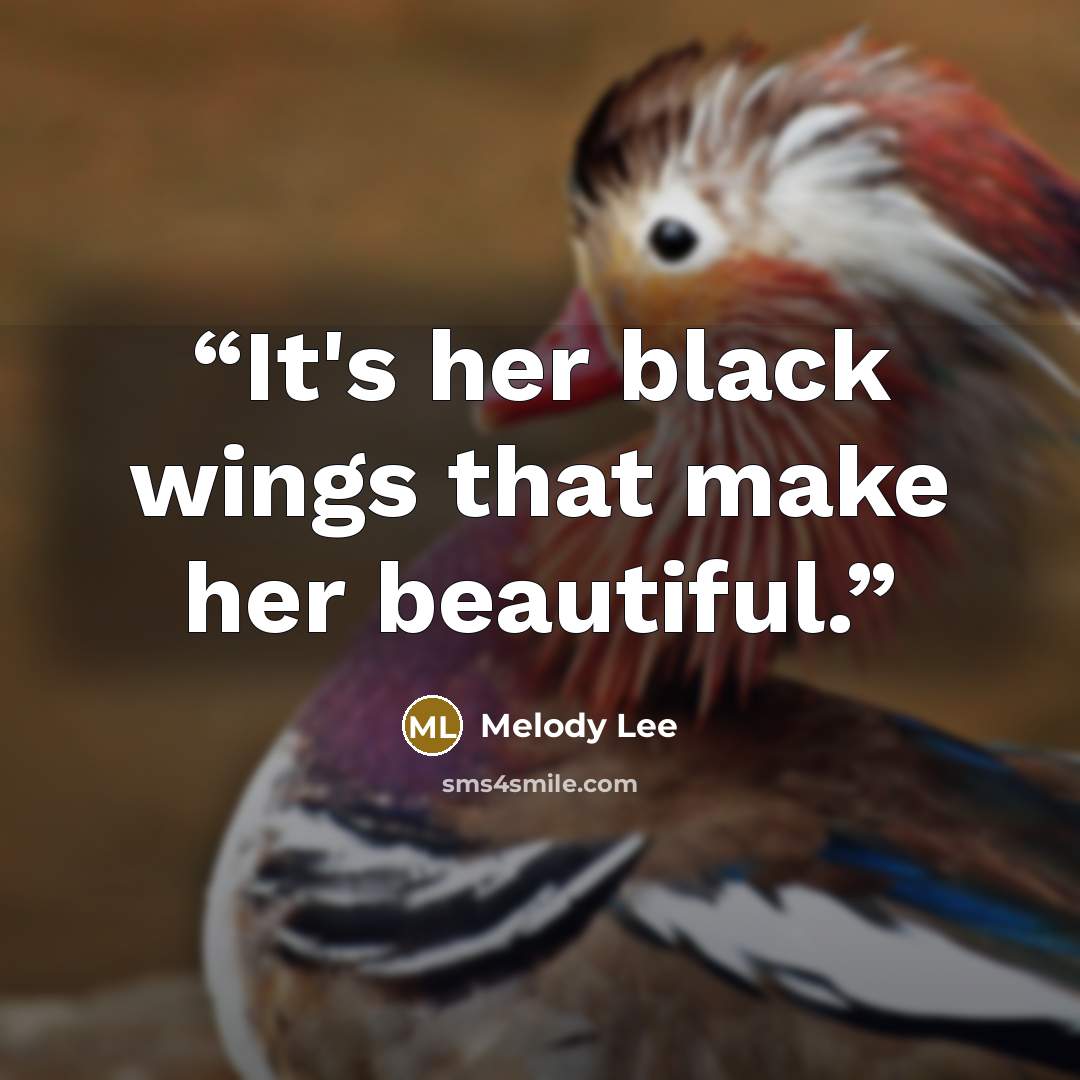 “It's her black wings that make her beautiful.” quote by Melody Lee