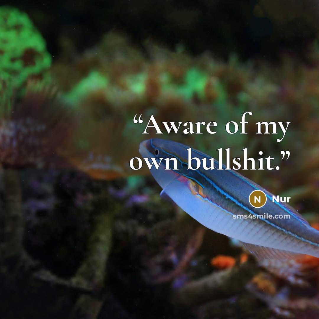 “Aware of my own bullshit.” quote by Nur