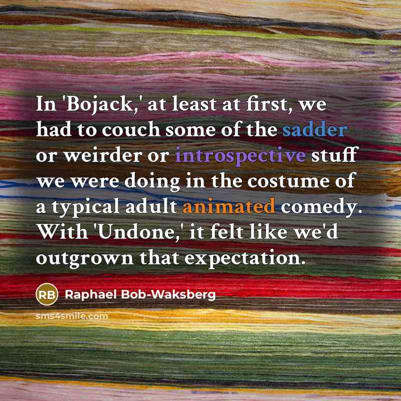“In 'Bojack,' at least at first, we had to couch some of the sadder or weirder or introspective stuff we were doing in the costume of a typical adult animated comedy. With 'Undone,' it felt like we'd outgrown that expectation.” quote by Raphael Bob-Waksberg
