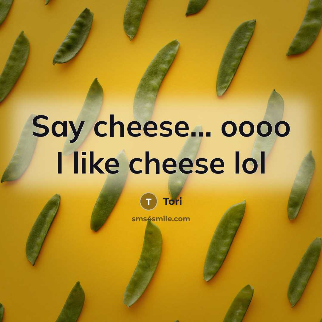 “Say cheese... oooo I like cheese lol” quote by Tori
