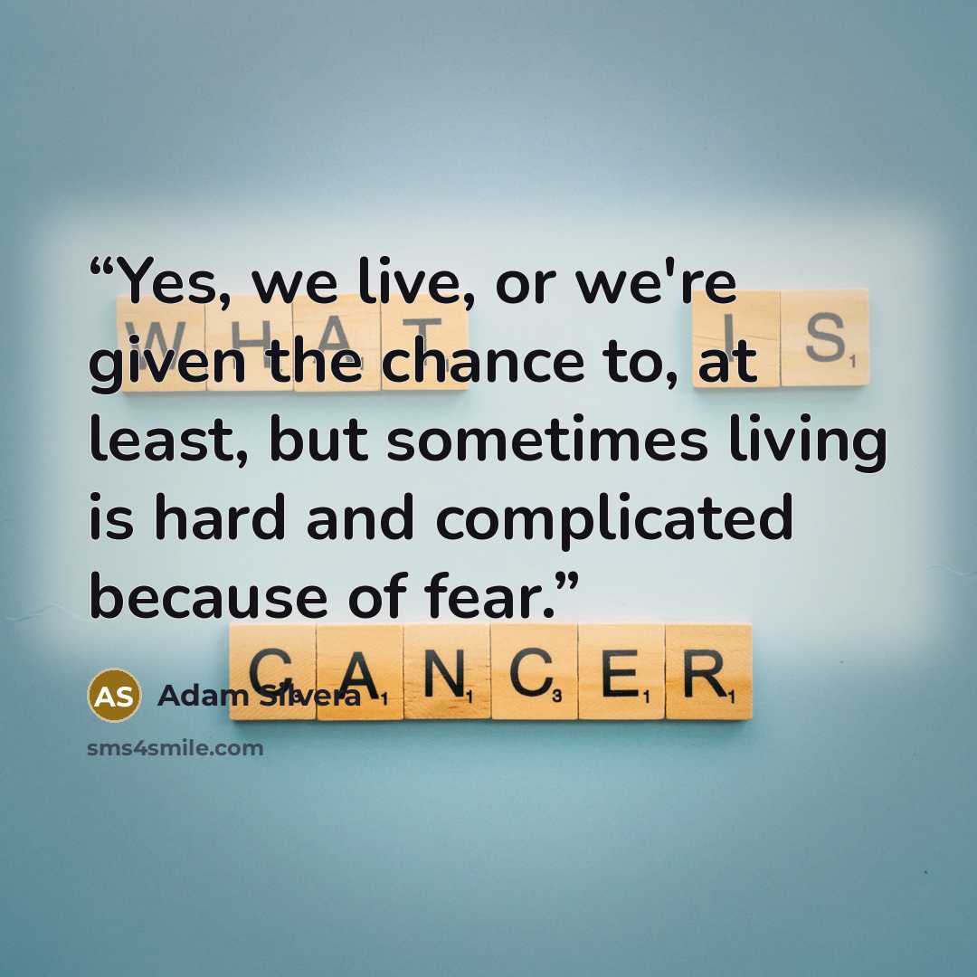 “Yes, we live, or we're given the chance to, at least, but sometimes living is hard and complicated because of fear.” quote by Adam Silvera