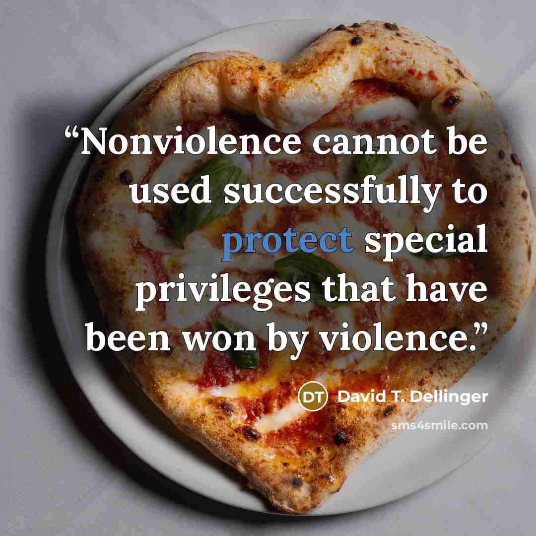 “Nonviolence cannot be used successfully to protect special privileges that have been won by violence.” quote by David T. Dellinger