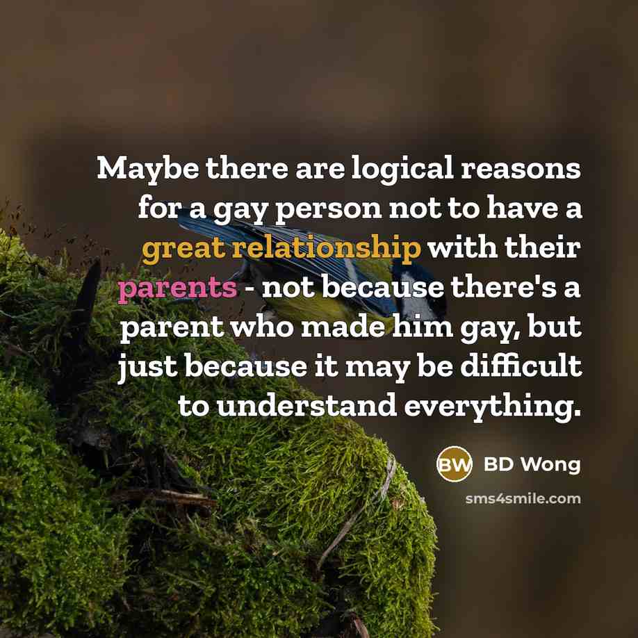 “Maybe there are logical reasons for a gay person not to have a great relationship with their parents - not because there's a parent who made him gay, but just because it may be difficult to understand everything.” quote by BD Wong