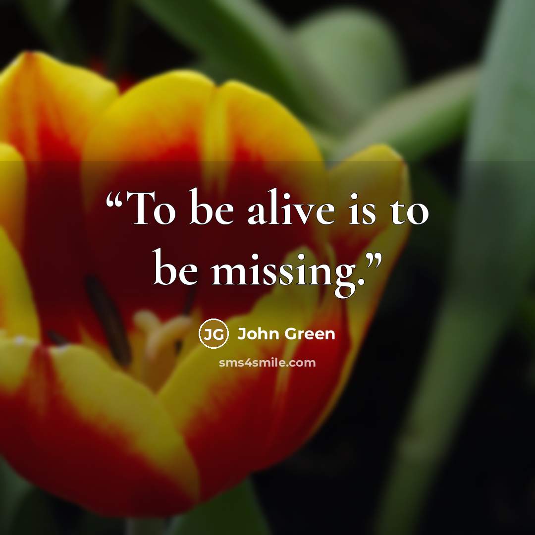 “To be alive is to be missing.” quote by John Green
