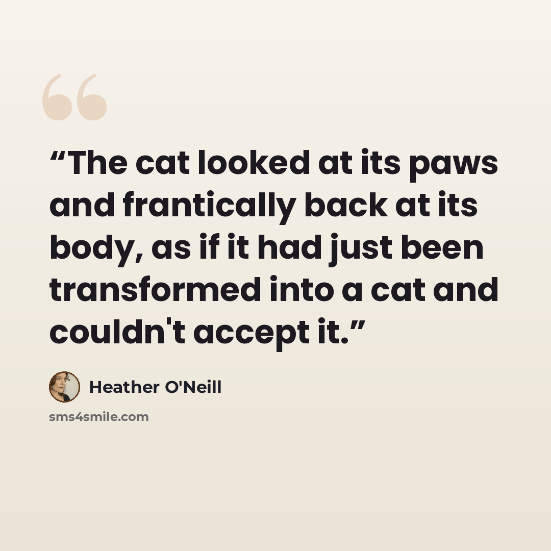 “The cat looked at its paws and frantically back at its body, as if it had just been transformed into a cat and couldn't accept it.” quote by Heather O'Neill