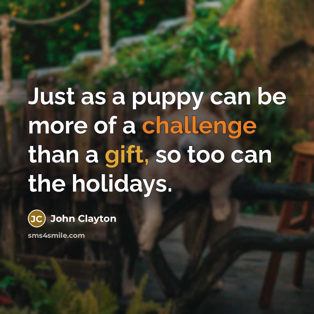 “Just as a puppy can be more of a challenge than a gift, so too can the holidays.” quote by John Clayton