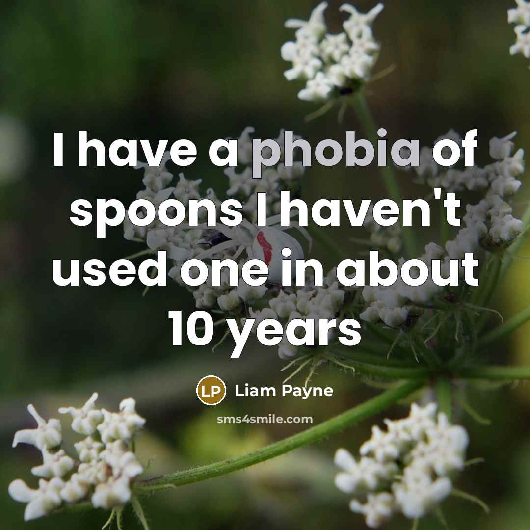 “I have a phobia of spoons I haven't used one in about 10 years” quote by Liam Payne