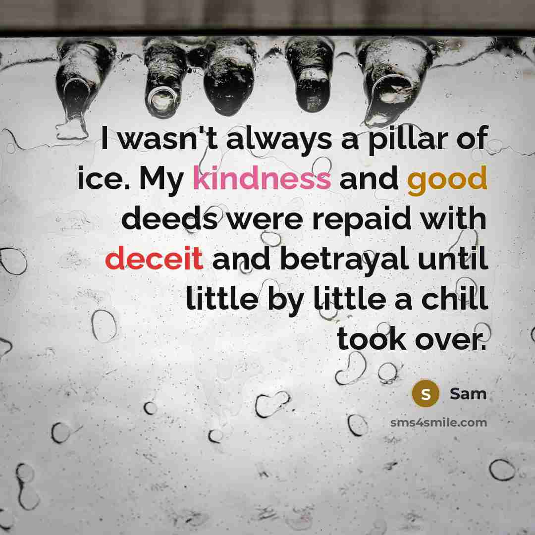 “I wasn't always a pillar of ice. My kindness and good deeds were repaid with deceit and betrayal until little by little a chill took over.” quote by Sam