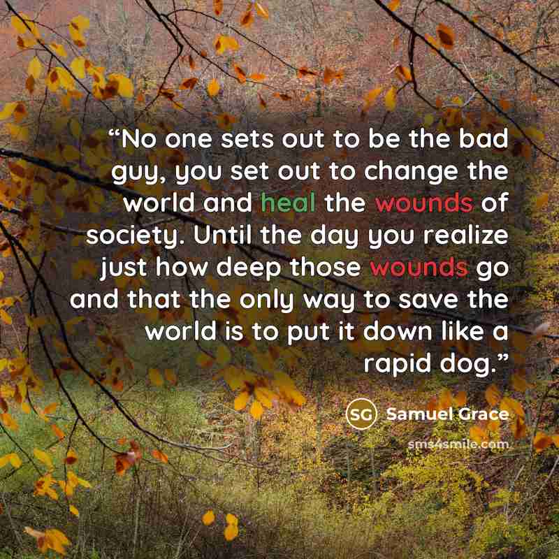 “No one sets out to be the bad guy, you set out to change the world and heal the wounds of society. Until the day you realize just how deep those wounds go and that the only way to save the world is to put it down like a rapid dog.” quote by Samuel Grace
