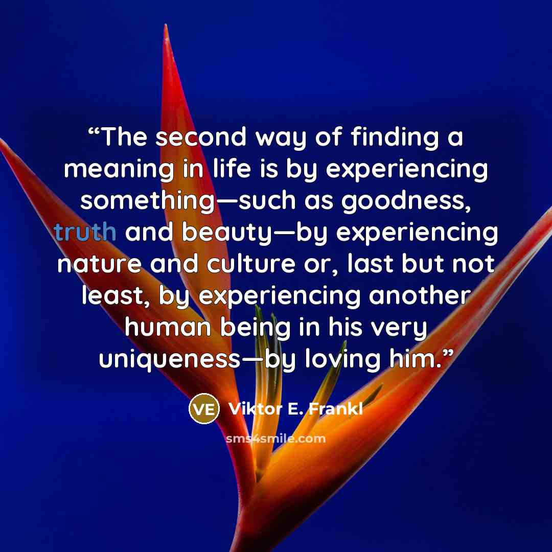 “The second way of finding a meaning in life is by experiencing something—such as goodness, truth and beauty—by experiencing nature and culture or, last but not least, by experiencing another human being in his very uniqueness—by loving him.” quote by Viktor E. Frankl